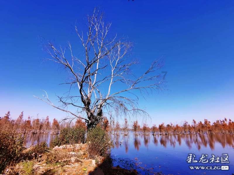探索和分享知识,加入有什么针对头皮屑头痒的平价洗发护发好物吗?知识星球平台