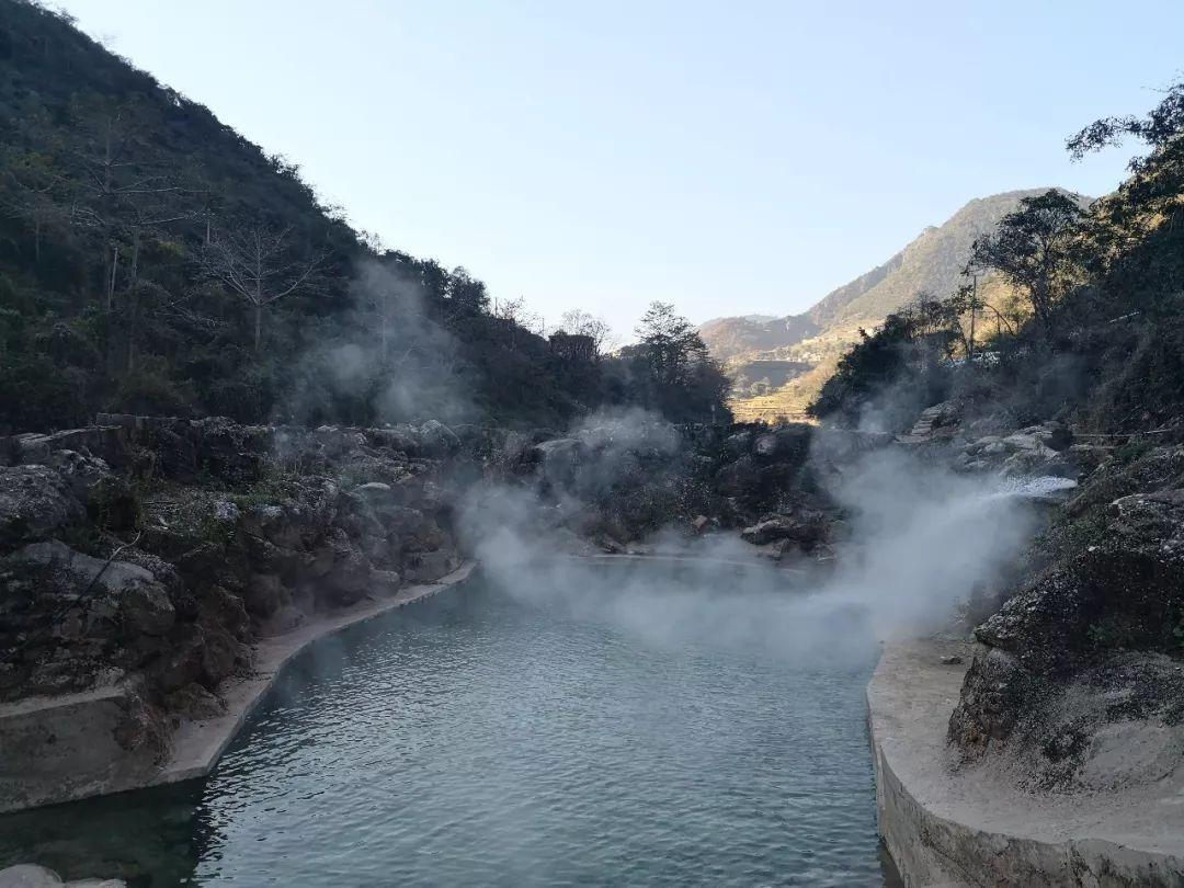 潮湿天气成群结队出现的小黑虫,你的全方位有问必答平台